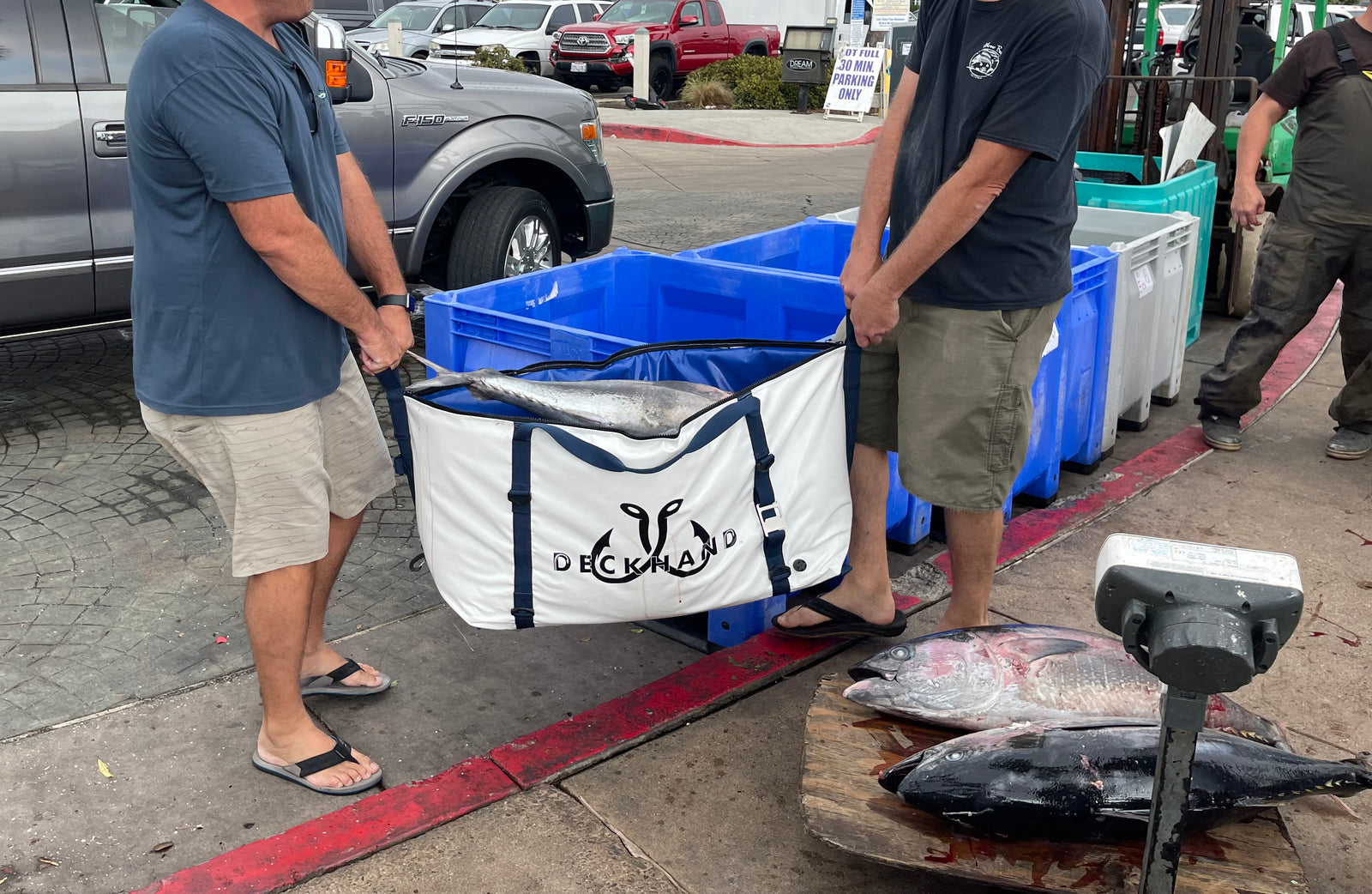 Efficient Fish Processing on Long Range Boats