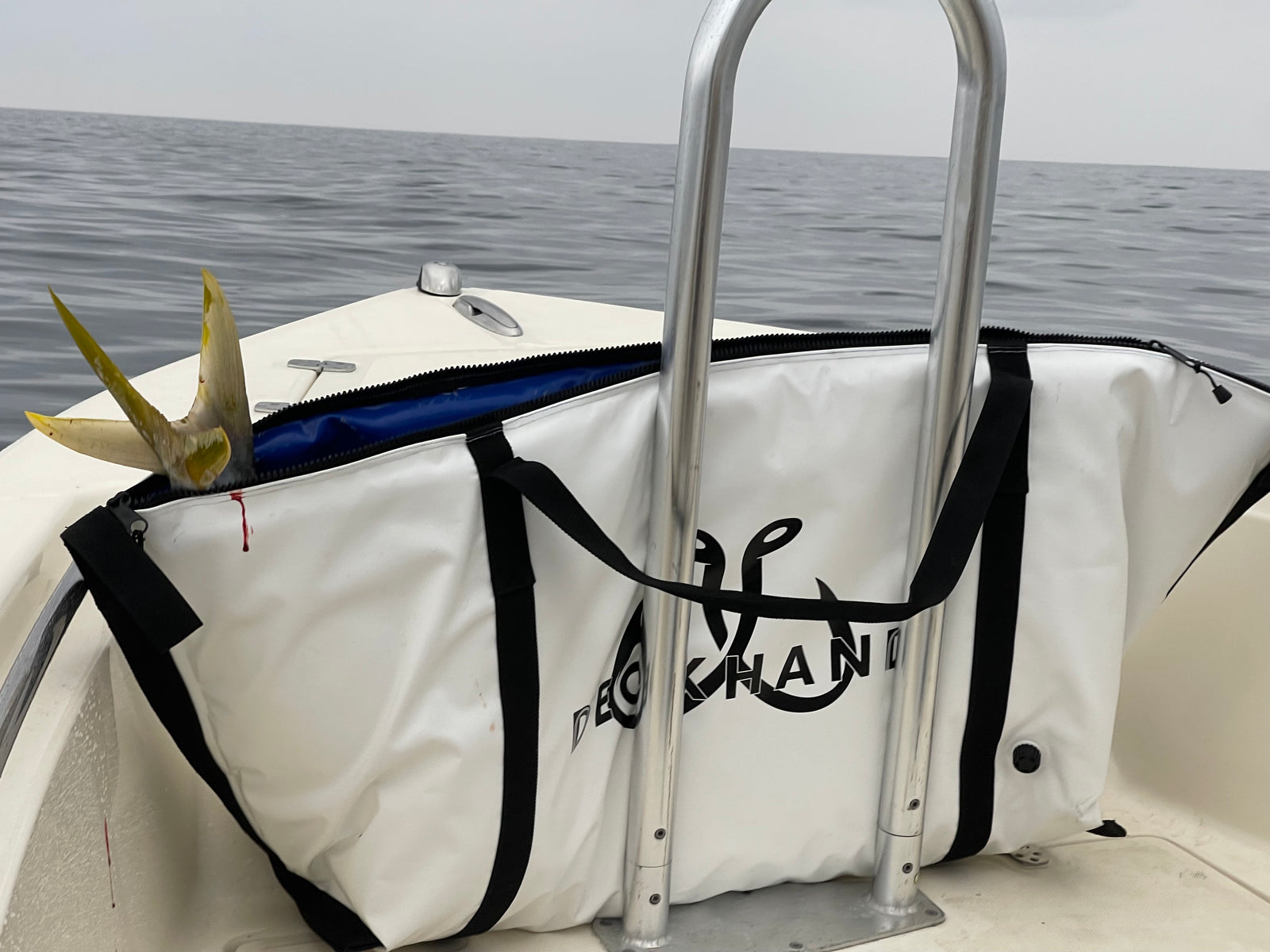 Paddy Hopping - Run & Gun Fishing (Aug 2022)