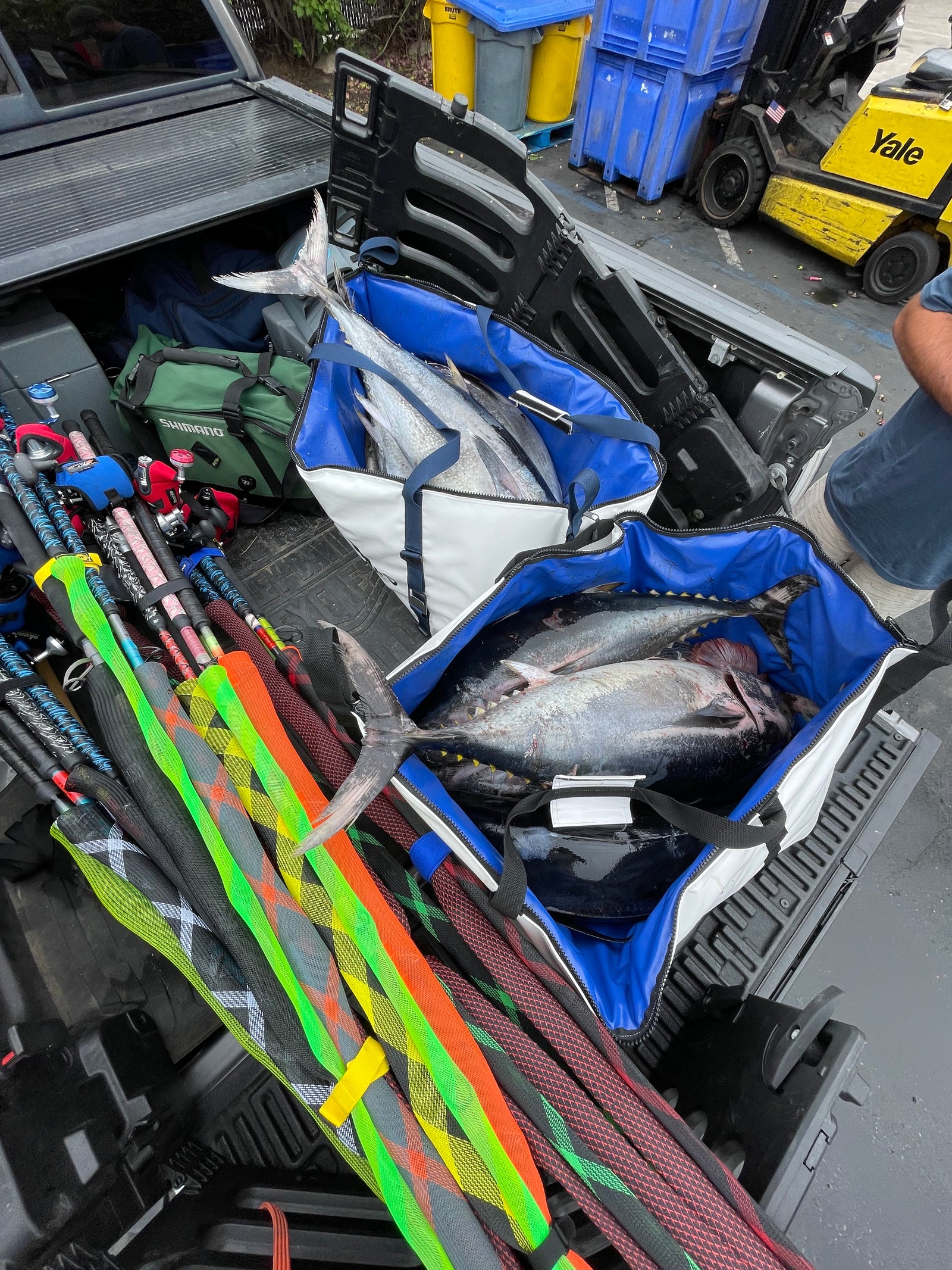 48" Fish Kill Bag - Deckhand - Blue Fin Tuna in the bag to take to processor (Long Range Trip)