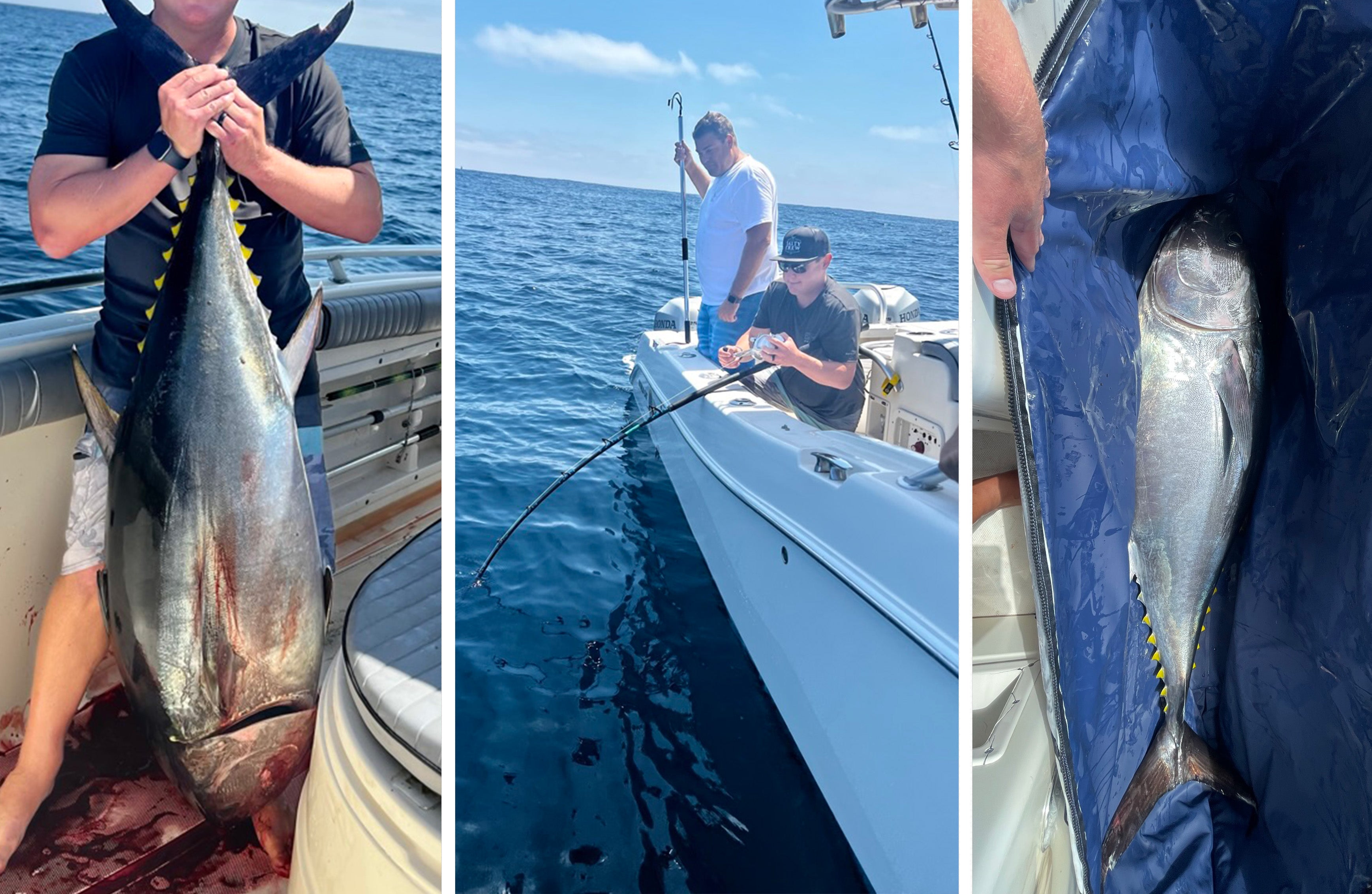 150 lbs Blue Fin Tuna on Team Deckhand World Cat 270TE Deckhand Sports