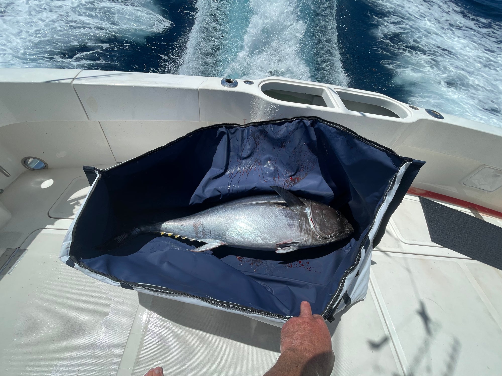 San Diego to 14 Mile Bank for Blue Fin Tuna