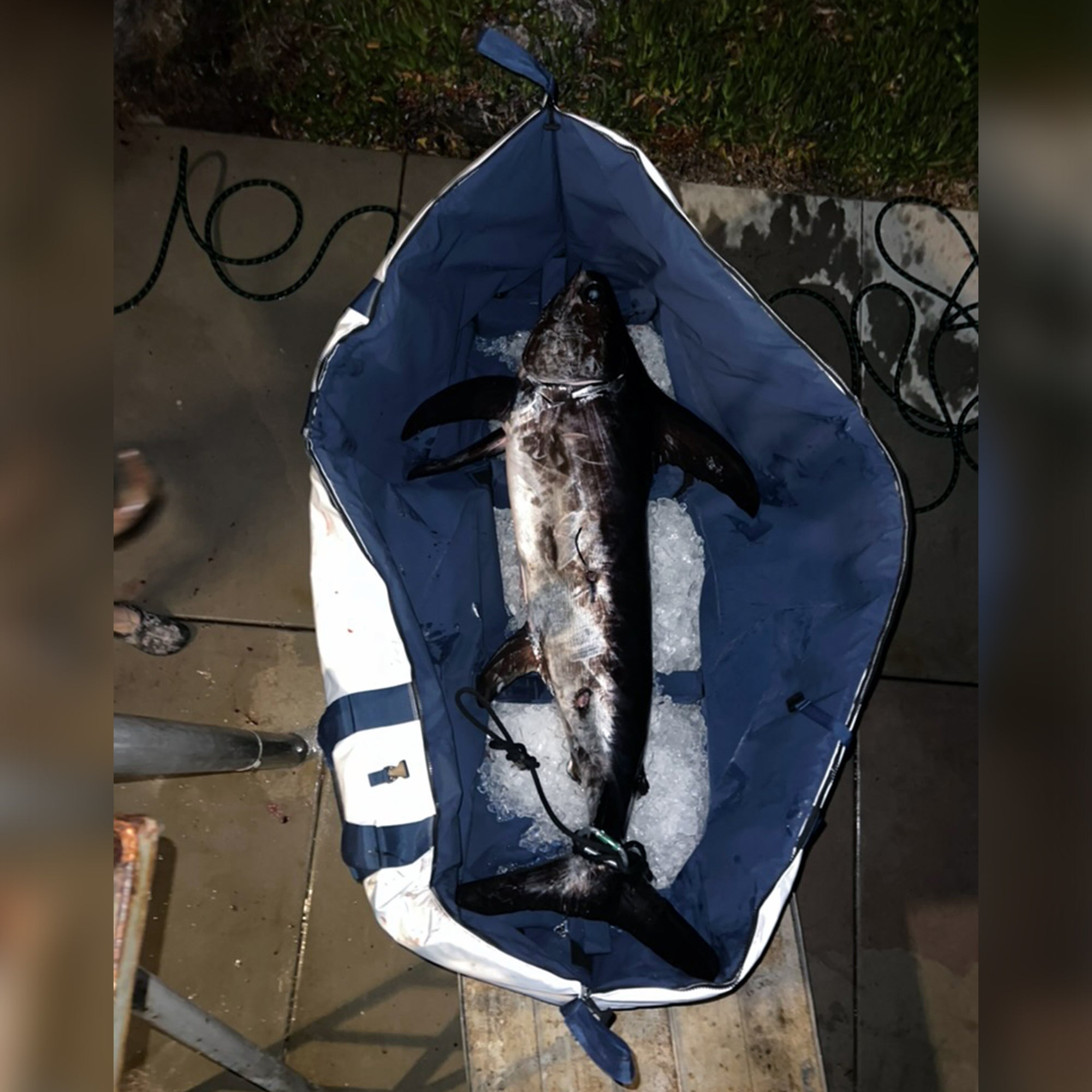 90 Offshore Cow Tuna Kill Bag - Deckhand Sports