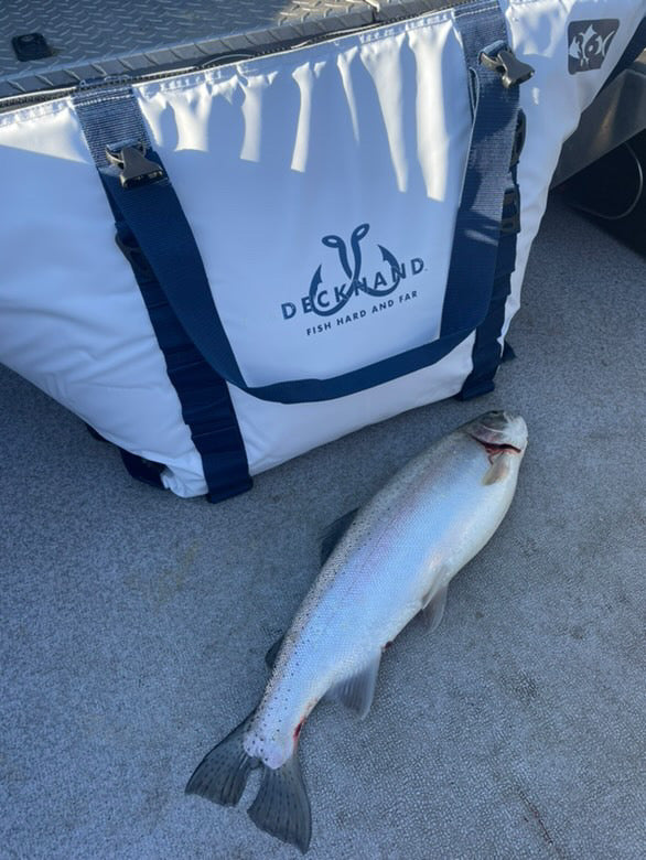 36" Multi-Species Insulated Fish Kill Bag