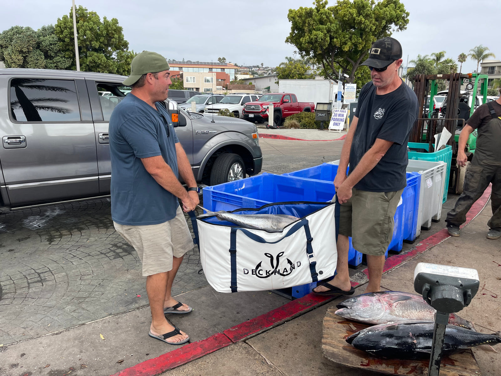 48" Fish Kill Bag - Deckhand - Blue Fin Tuna in the bag to take to processor (Long Range Trip)